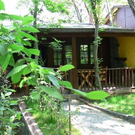 Dolunay Fanizan Hotel Fatsa Exterior foto