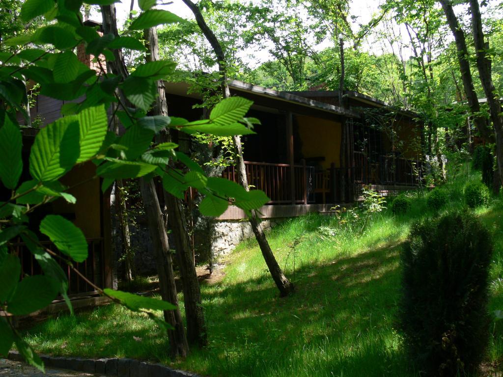 Dolunay Fanizan Hotel Fatsa Cameră foto